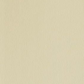 IVOIRE CLAIR VEINÉ RAL 1015