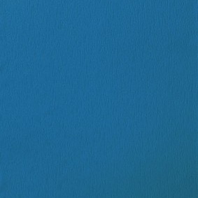 BLEU BRILLANT VEINÉ RAL 5007