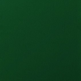 VERT MOUSSE VEINÉ RAL 6005