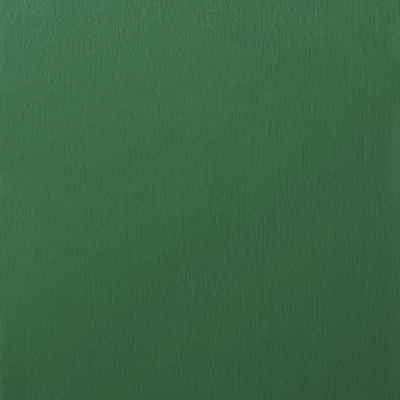 VERT SAPIN VEINÉ RAL 6009