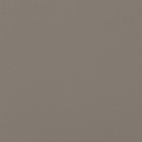 GRIS BÉTON VEINÉ RAL 7023