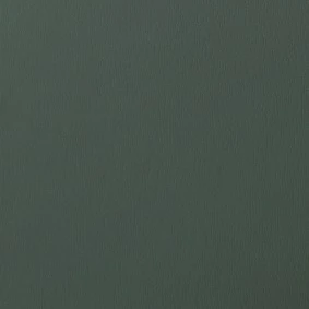 GRIS QUARTZ VEINÉ RAL 7039