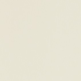 BLANC CRÈME VEINÉ RAL 9001