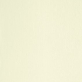 BLANC VEINÉ RAL 9010