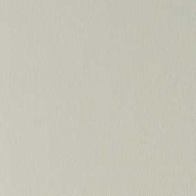 BLANC PAPYRUS VEINÉ RAL 9018