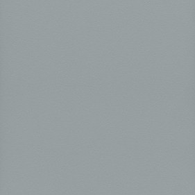 GRIS ARGENTÉ SABLÉ  RAL 7001